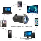PNI Hordozható karaoke BoomBox hangfal, beépített FM rádióval, lejátszóval (PNI-BT200)