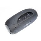 PNI Hordozható karaokee bluetooth hangfal, vezeték nélküli mikrofonnal (PNI-BT600)