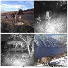 PNI Vadkamera 24Mp-es fotó felbontással (PNI-HUNT280C)