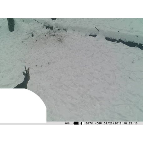 PNI Vadkamera, GSM modullal, kijelzővel, 12Mp-es fotó felbontással (PNI-HUNT300C)