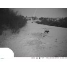 PNI Vadkamera, GSM modullal, kijelzővel, 12Mp-es fotó felbontással (PNI-HUNT300C)