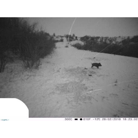 PNI Vadkamera, GSM modullal, kijelzővel, 12Mp-es fotó felbontással (PNI-HUNT300C)