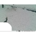 PNI FullHd vadkamera, GSM modullal (PNI-HUNT350C)