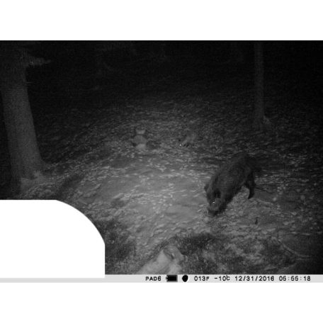 PNI Vadkamera 12Mp-es fotó felbontással (PNI-HUNT3C)