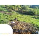 PNI Vadkamera 12Mp-es fotó felbontással (PNI-HUNT3C)