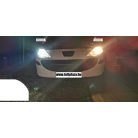 PNI Autós LED fényszóró izzó, H1 PH, 6000K, 8000LM, 2db (PNI-LEDH1-P60K)