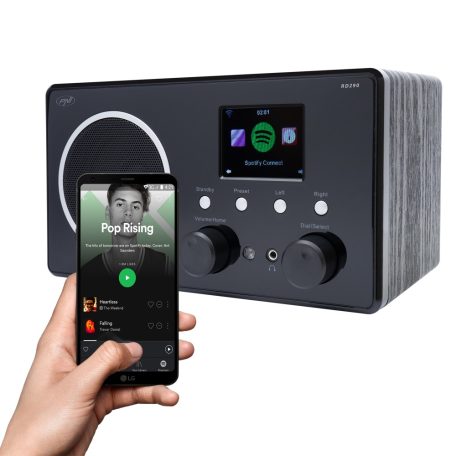 PNI Fa burkolatú, FM/DAB Internetes WiFi rádió, színes kijelzővel (PNI-RD290)