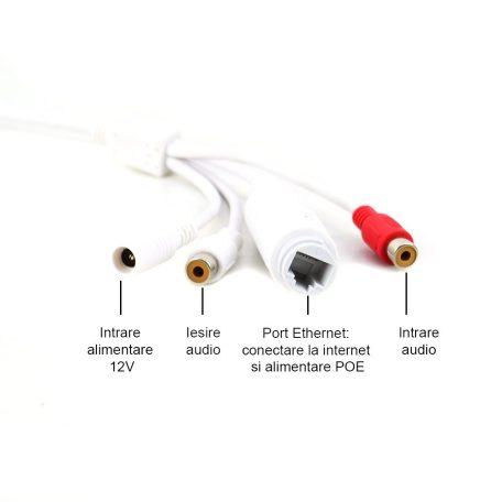 PNI 2.0Mp-es füstérzékelőbe rejtett, IP kamera, microSD foglalattal, -26C°-ig (PNI-SS2MPX)